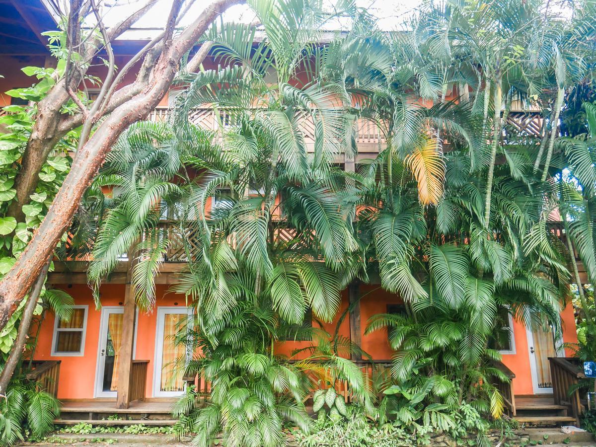 Hotel Posada Las Orquideas,เวสต์เอนด์ ภายนอก รูปภาพ
