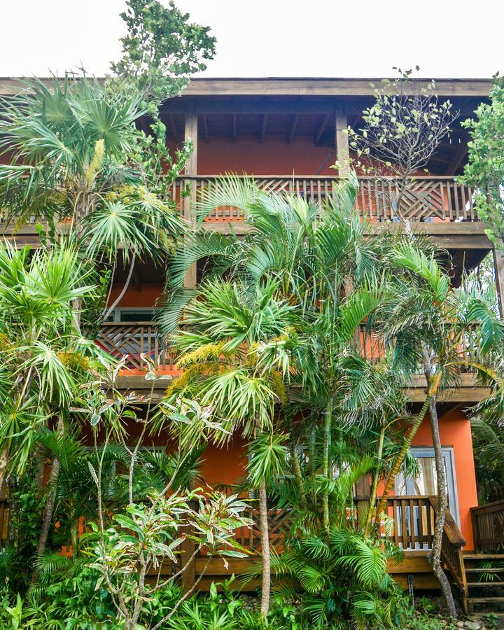 Hotel Posada Las Orquideas,เวสต์เอนด์ ภายนอก รูปภาพ