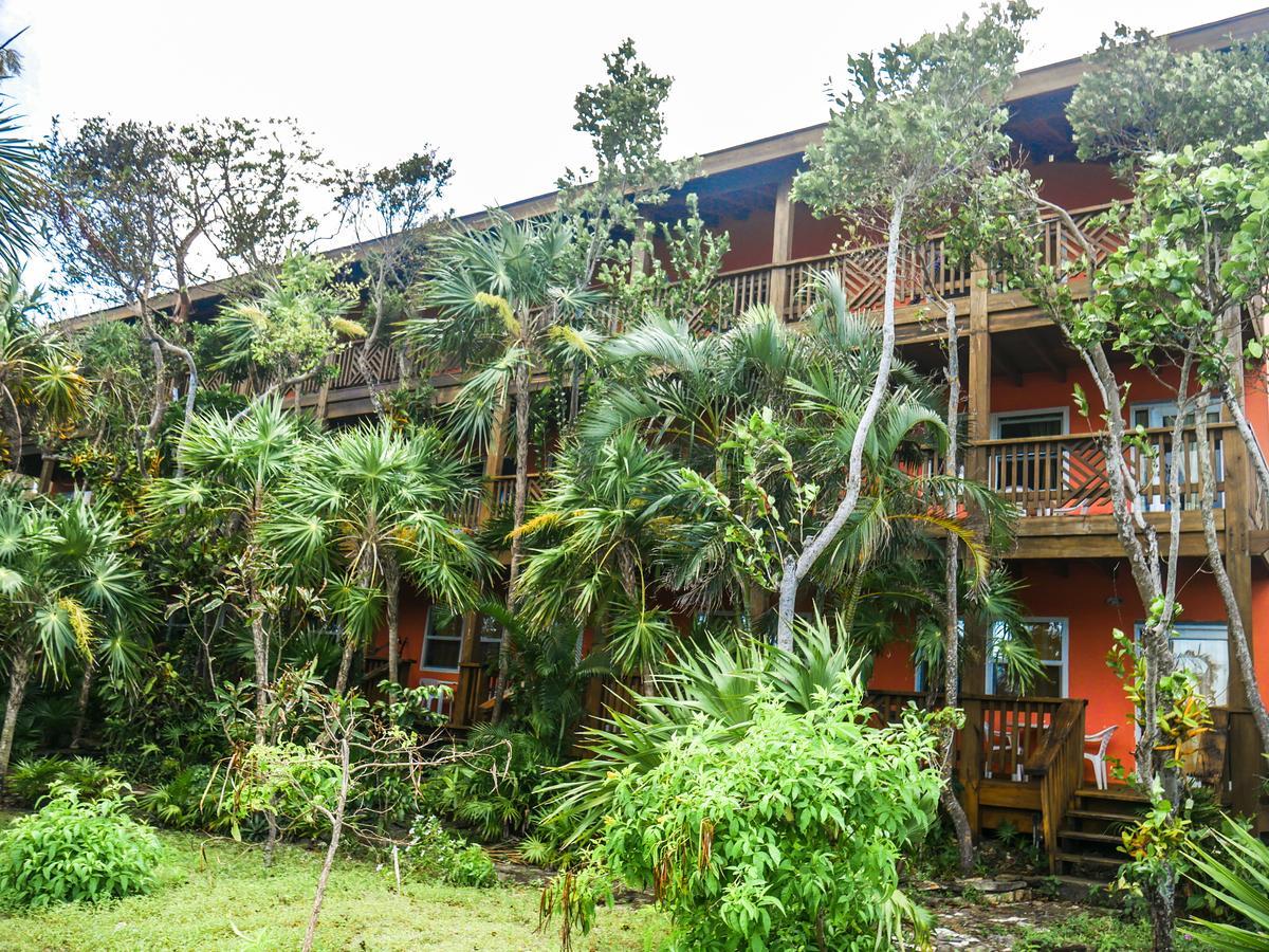 Hotel Posada Las Orquideas,เวสต์เอนด์ ภายนอก รูปภาพ