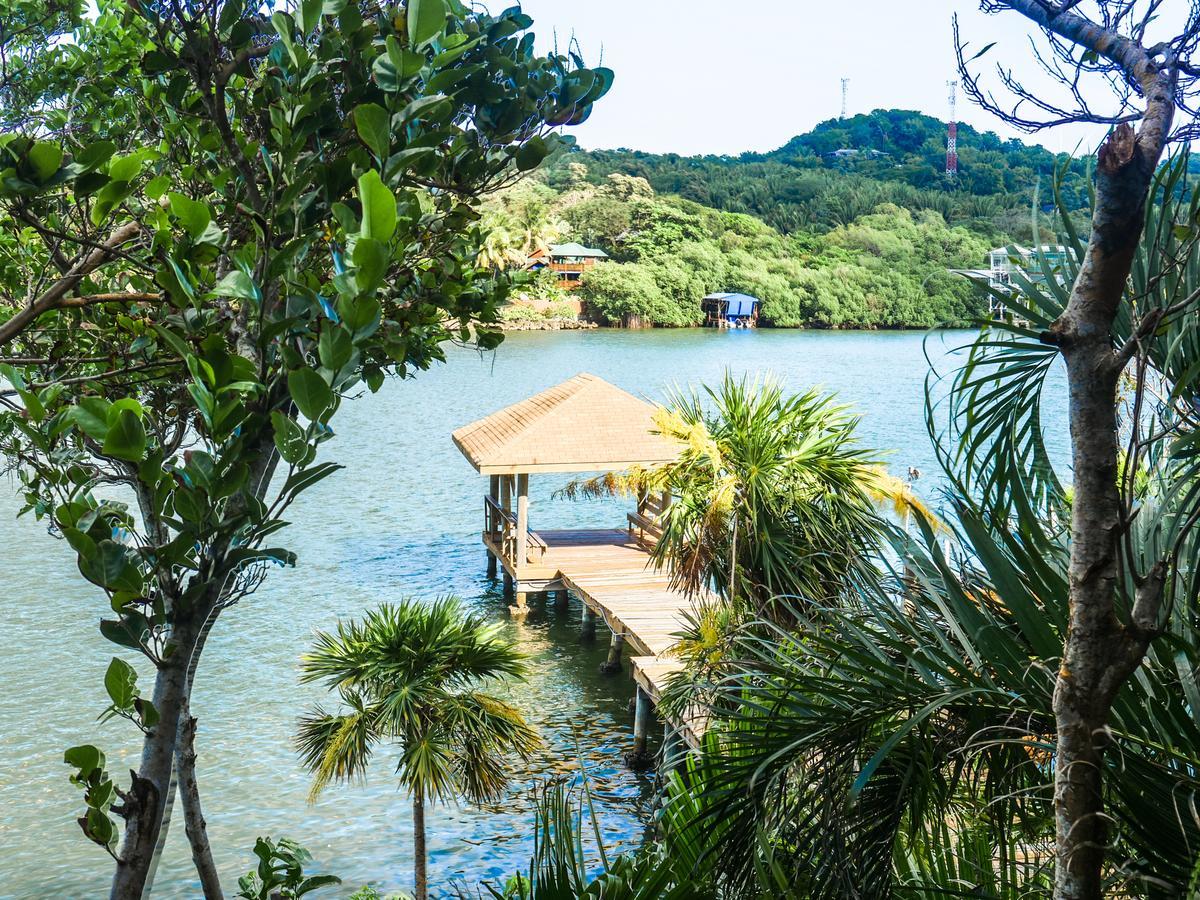 Hotel Posada Las Orquideas,เวสต์เอนด์ ภายนอก รูปภาพ