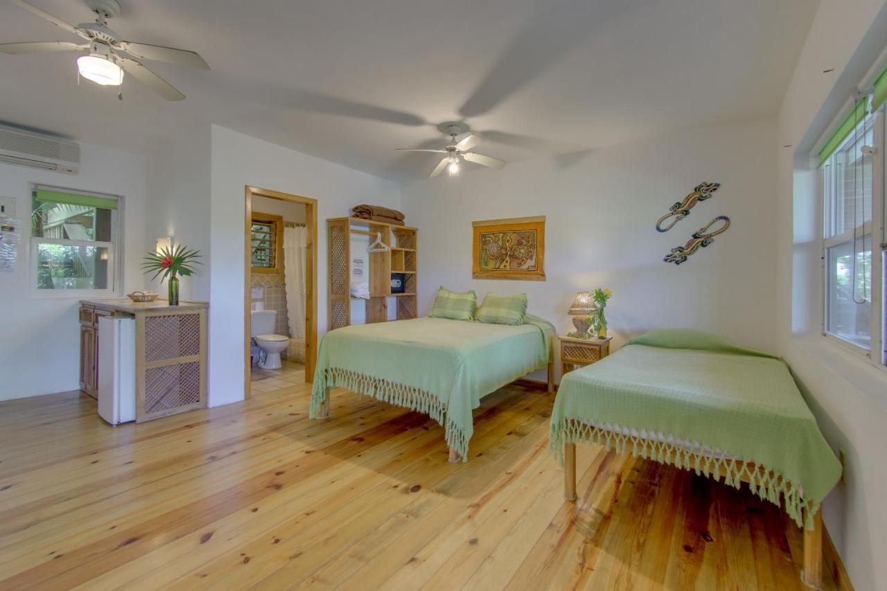 Hotel Posada Las Orquideas,เวสต์เอนด์ ภายนอก รูปภาพ