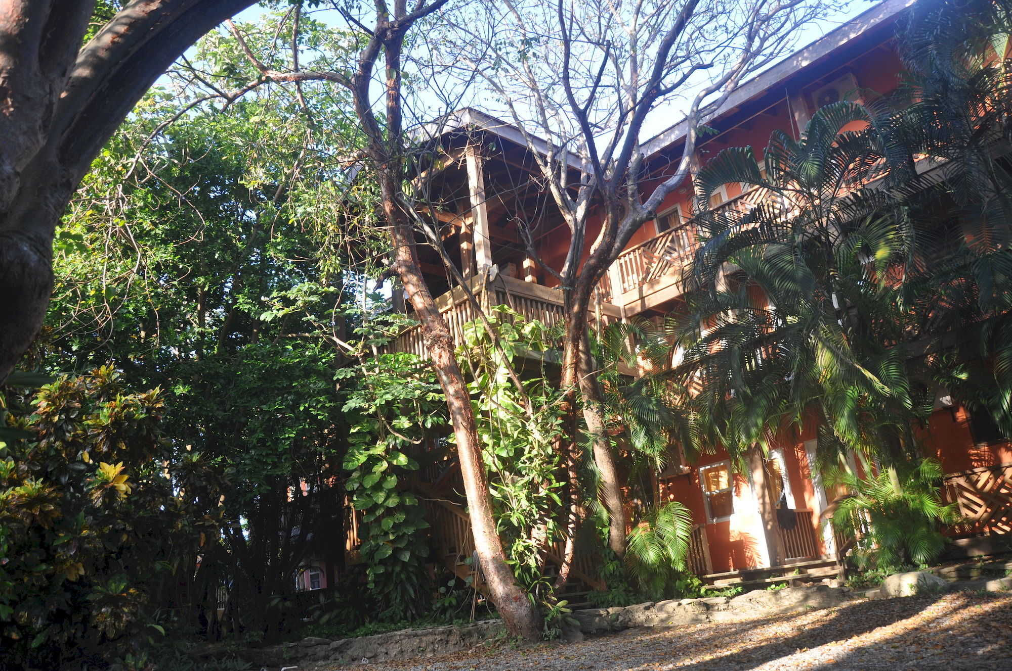 Hotel Posada Las Orquideas,เวสต์เอนด์ ภายนอก รูปภาพ