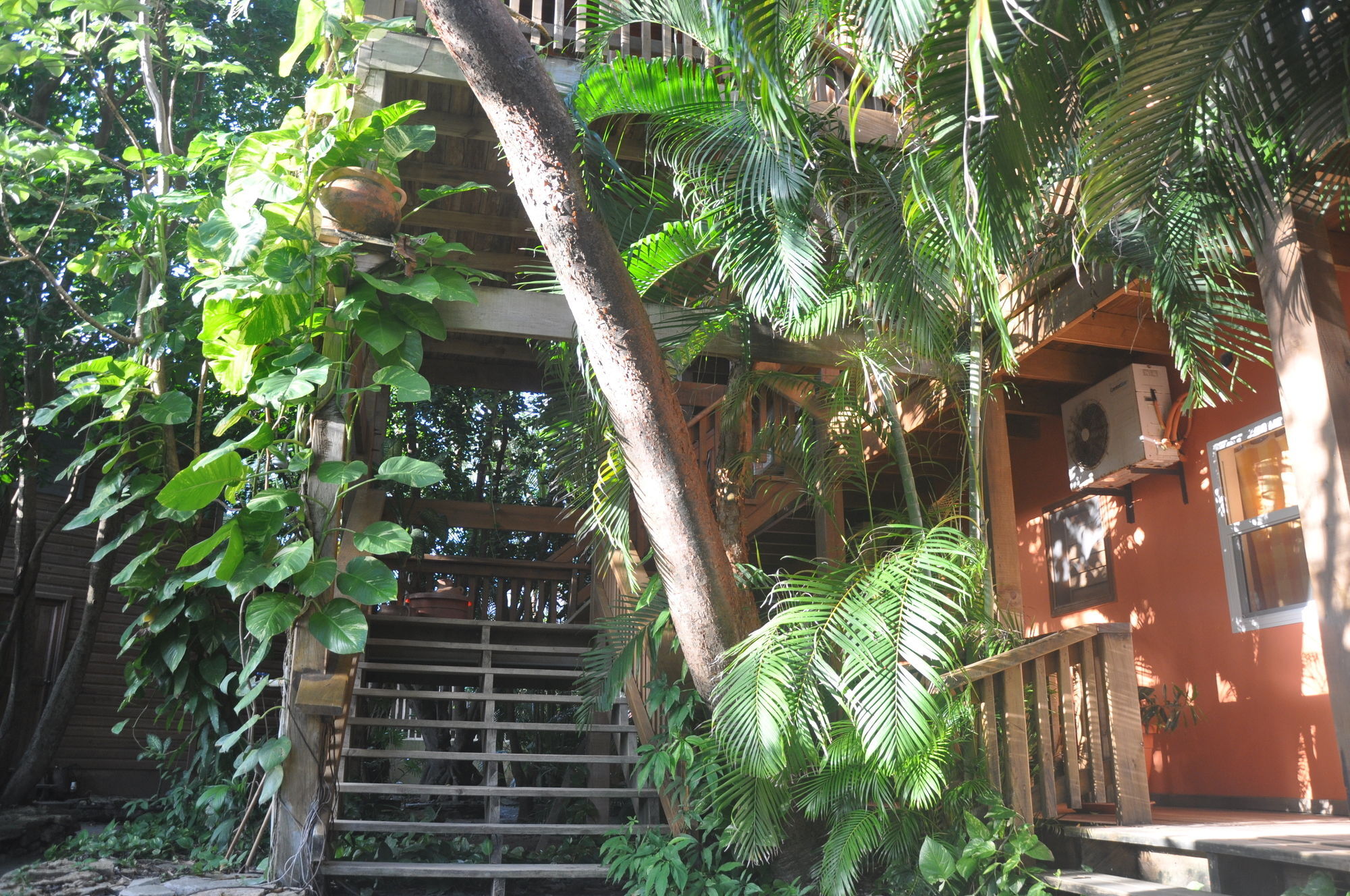 Hotel Posada Las Orquideas,เวสต์เอนด์ ภายนอก รูปภาพ