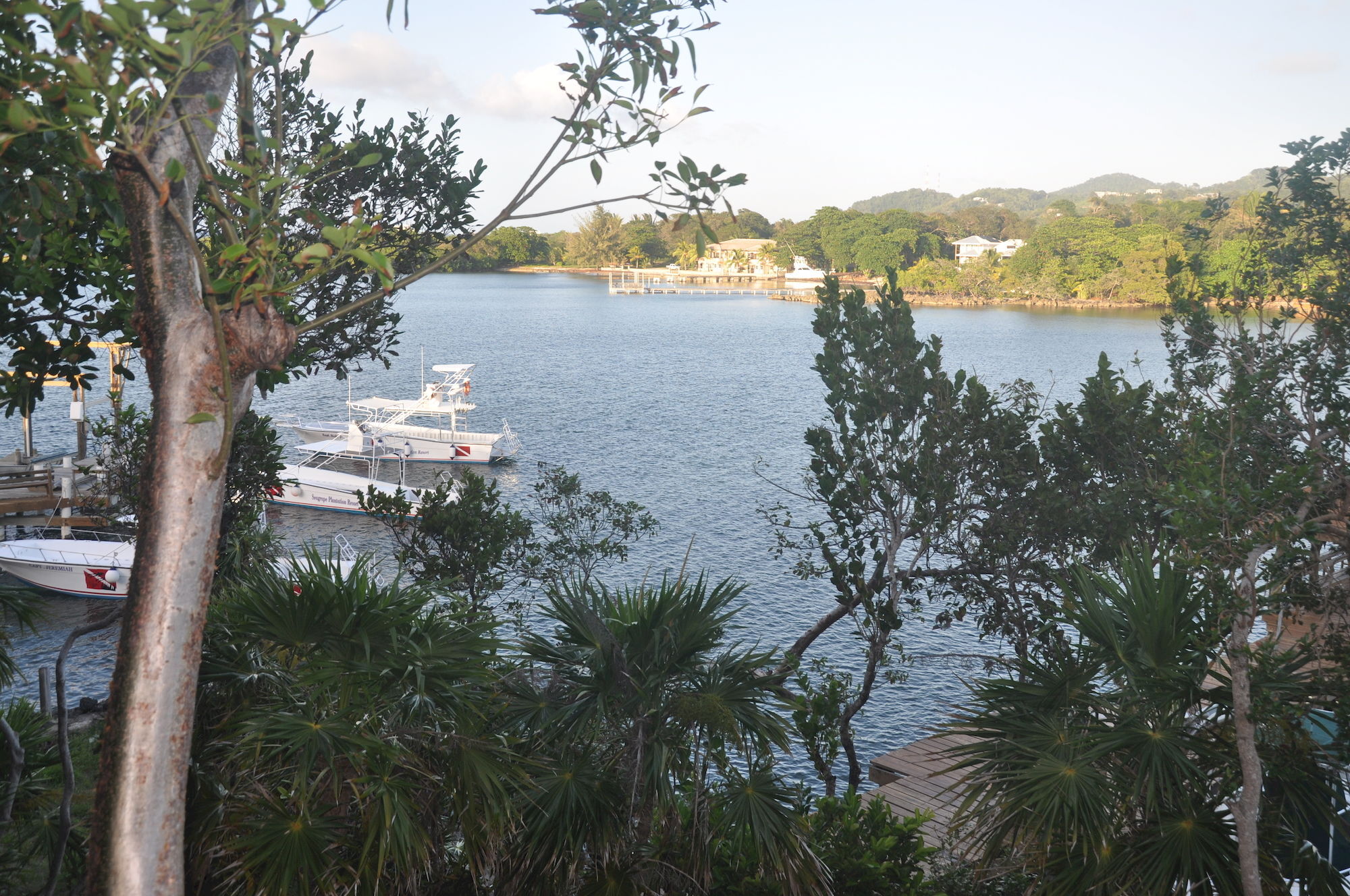 Hotel Posada Las Orquideas,เวสต์เอนด์ ภายนอก รูปภาพ