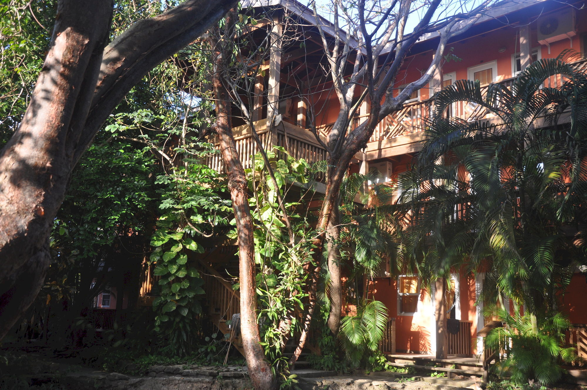 Hotel Posada Las Orquideas,เวสต์เอนด์ ภายนอก รูปภาพ