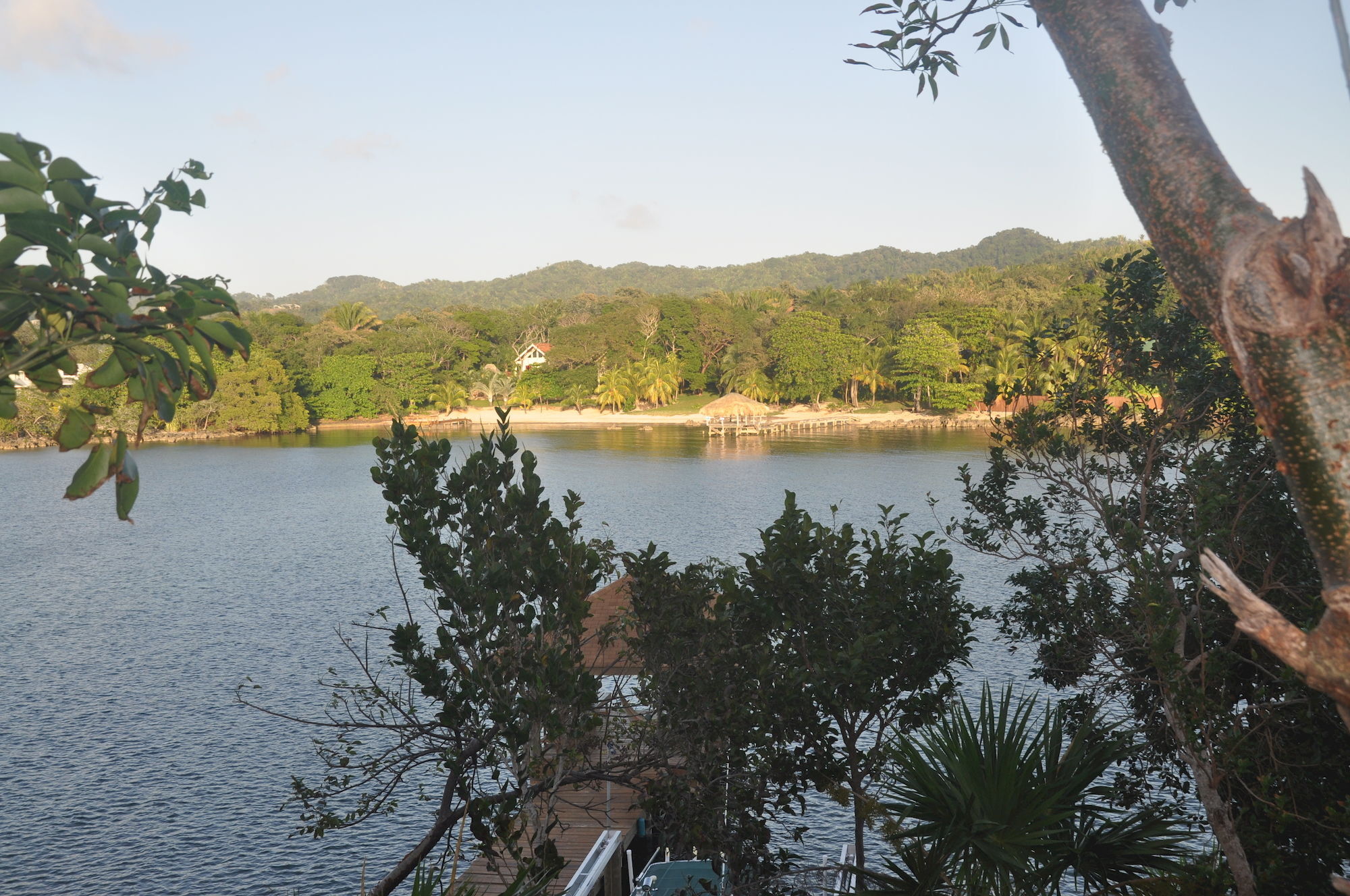 Hotel Posada Las Orquideas,เวสต์เอนด์ ภายนอก รูปภาพ