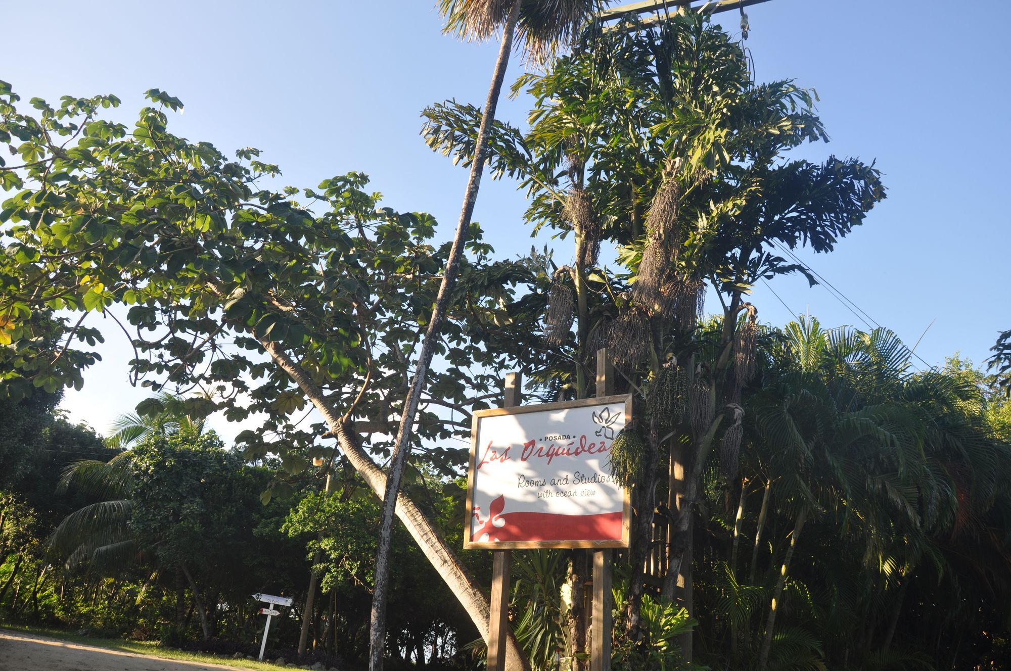 Hotel Posada Las Orquideas,เวสต์เอนด์ ภายนอก รูปภาพ